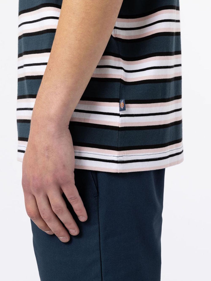 Dickies T-shirt Uomo Blu