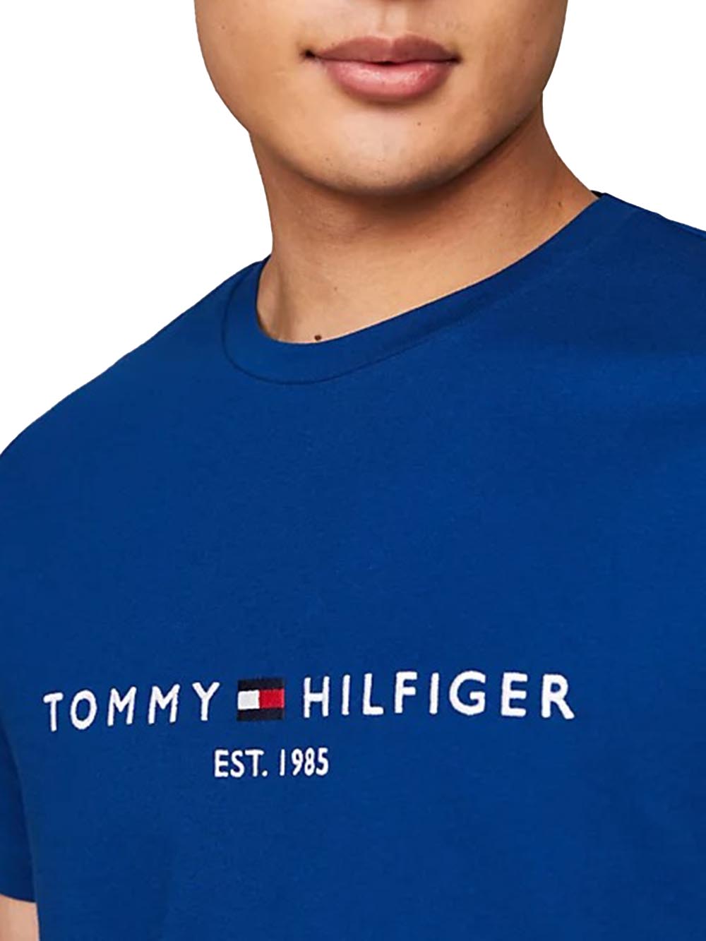 Tommy Hilfiger T-shirt Uomo Mw0mw11797 Bluette