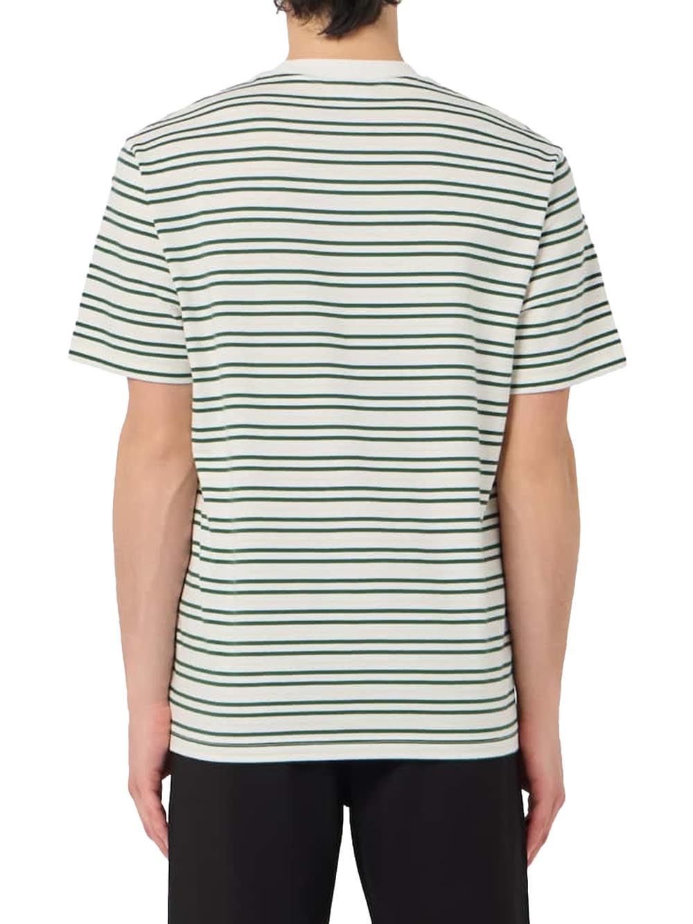 Lacoste T-shirt Uomo Th0874 Panna verde