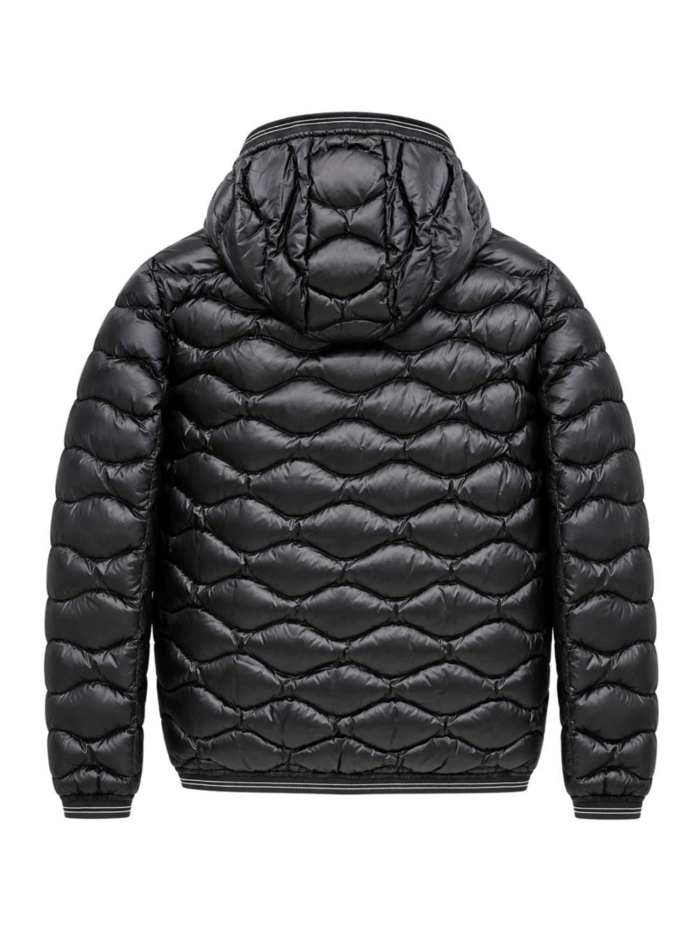 LOWELL JUNIOR Blauer Kids Giubbino Bambina 26wblgc03289 007455 Nero/marrone