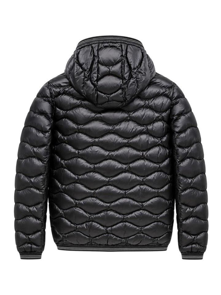 LOWELL JUNIOR Blauer Kids Giubbino Bambina 26wblgc03289 007455 Nero/marrone
