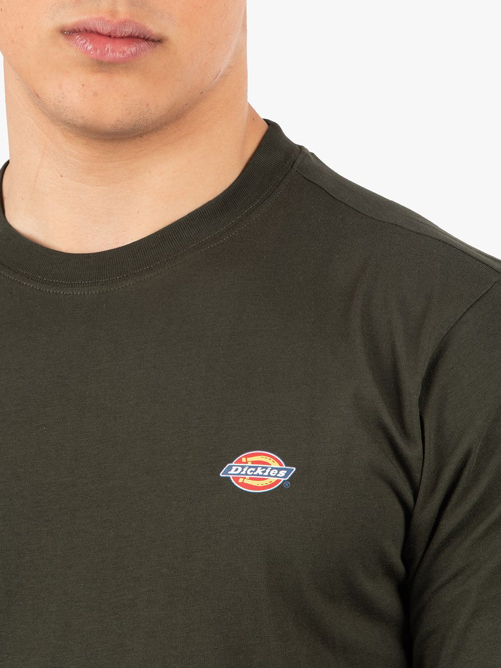 Dickies T-shirt Unisex Verde